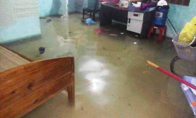 14658248_236043680145011_374353585_n