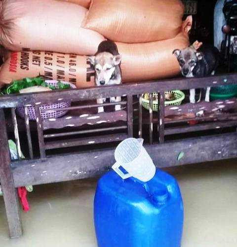 14686537_1074381719342671_1960939550_n