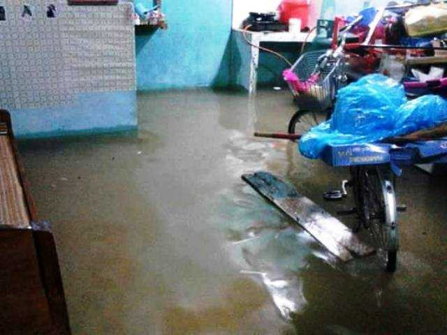 14686567_236043683478344_508648978_n