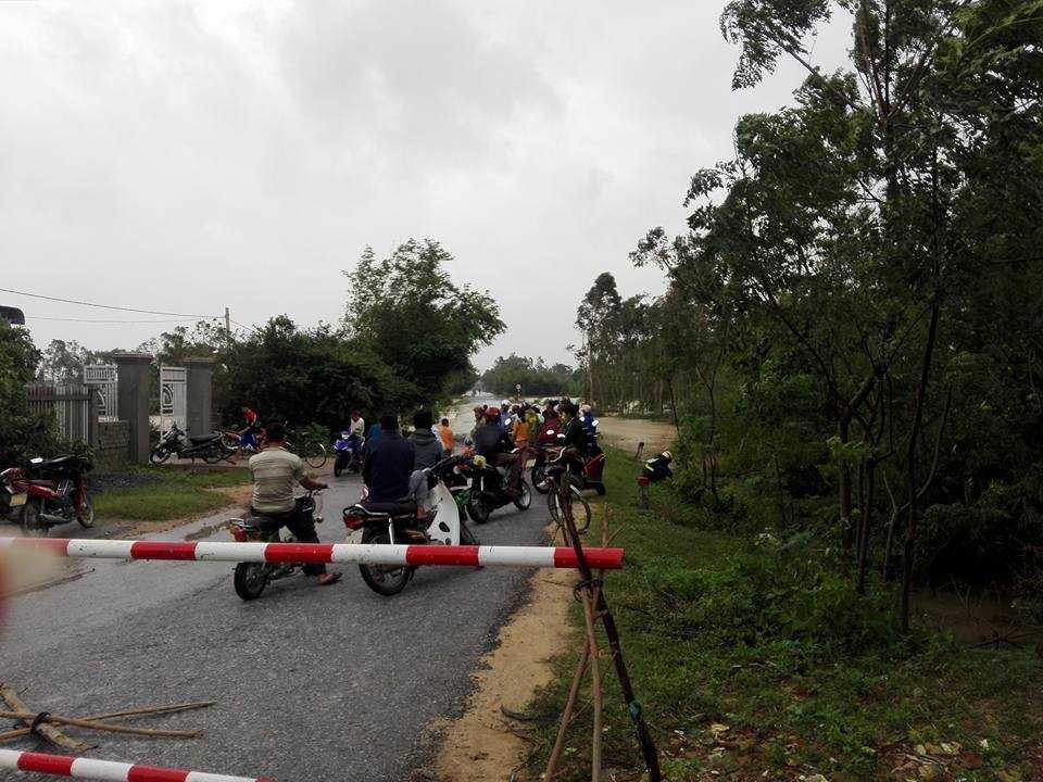 11225445_1247572861930146_3769963112495492951_n