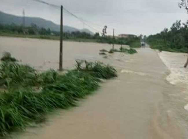 14793726_1147175012039218_137611709_n