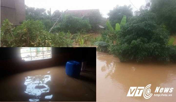 14874925_1893215974239985_1161330415_n-1324