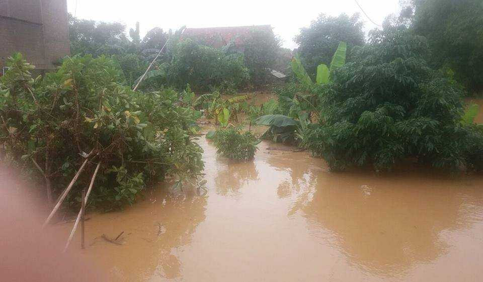 14874925_1893215974239985_1161330415_n