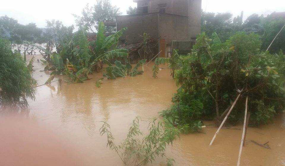 14877064_1893215917573324_1578254793_n