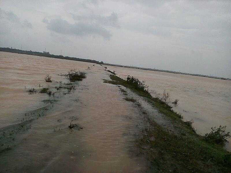 14877295_1893219430906306_738938360_n