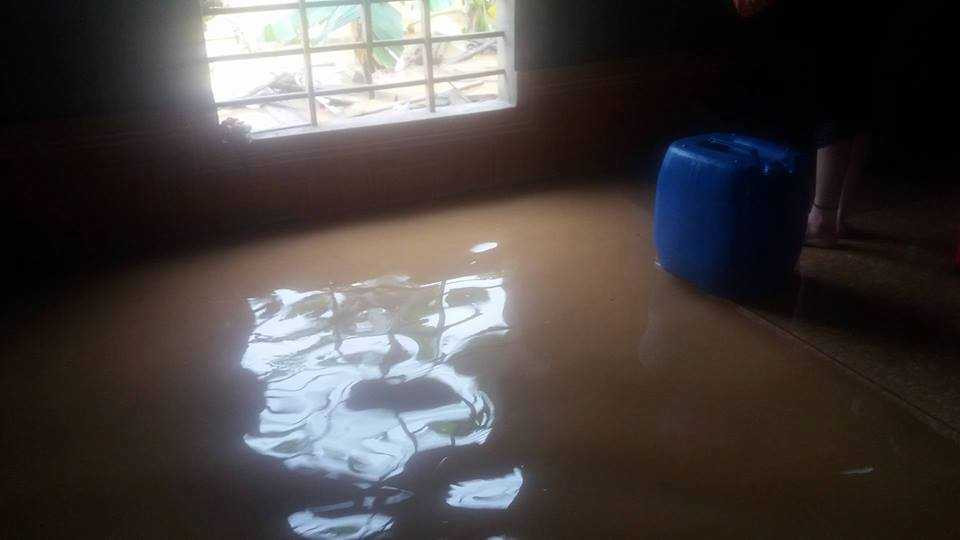 14885978_1893215454240037_1286340607_n