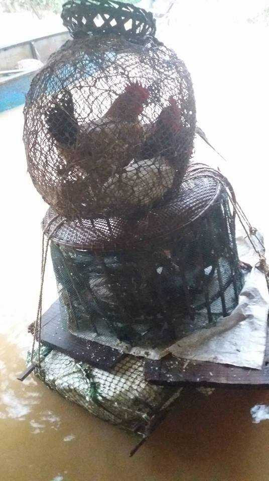 14886298_1893229077572008_535379486_n