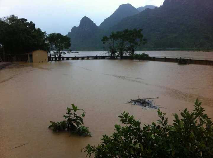 14937181_1247488818605217_3579273858901957495_n