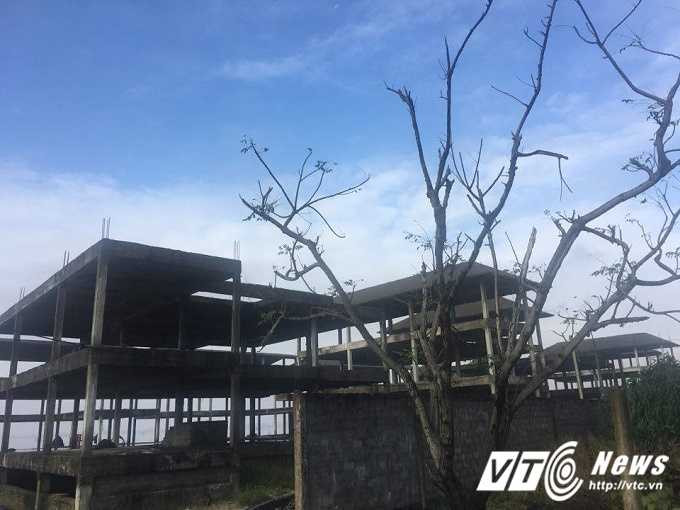 15666094_1207131159376936_2085426781_n