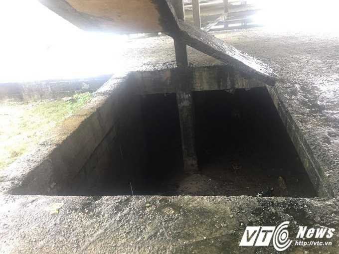 15666311_1207130869376965_497294753_n