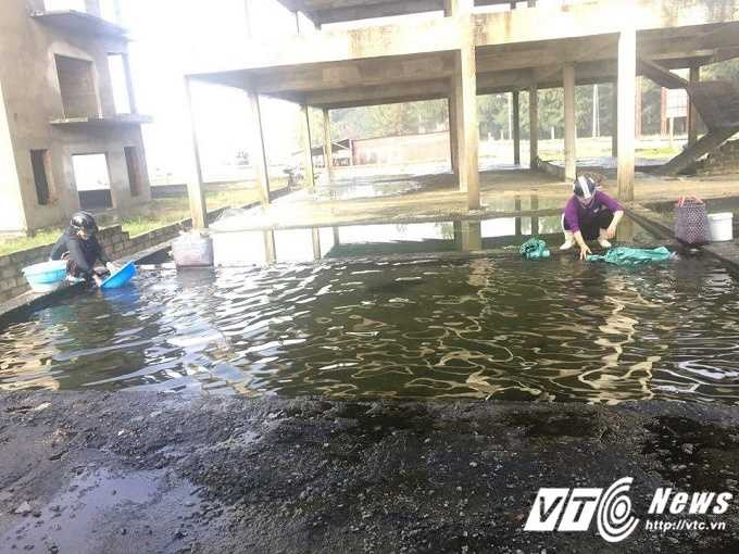 15682945_1207130832710302_1359950381_n