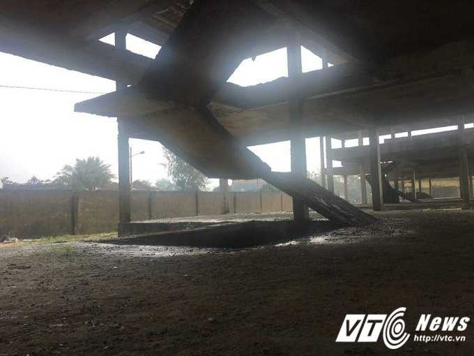 15683102_1207130899376962_1540298515_n