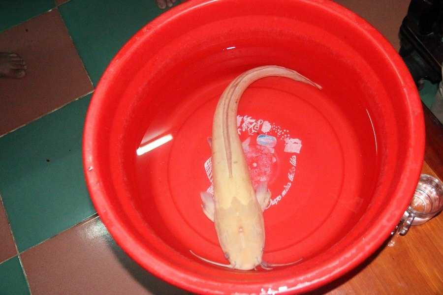 16507431_1048664978610363_1281707533_n