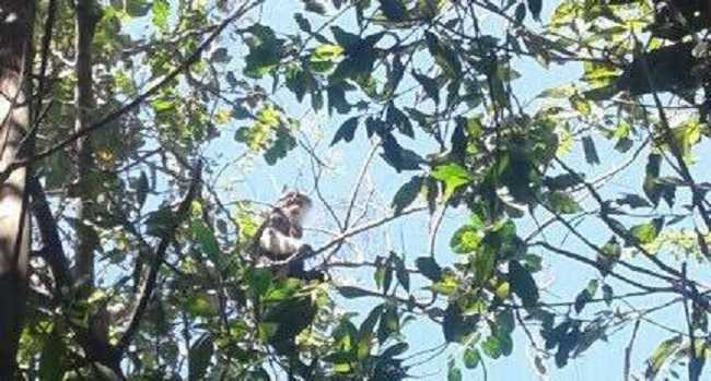 16650510_1051070888369772_2112133475_n