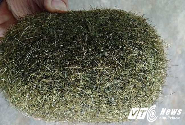 16681921_1256253374443012_3012069372936649682_n