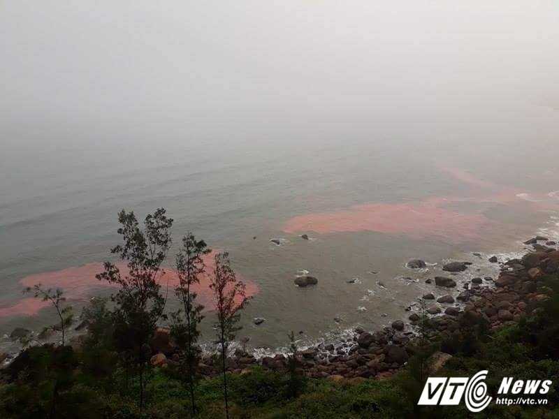 16924269_807507709389593_596080677_n