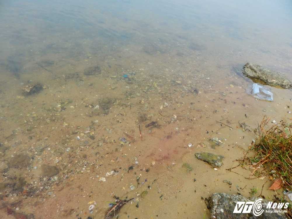 16930633_1868991140044555_53061642_o