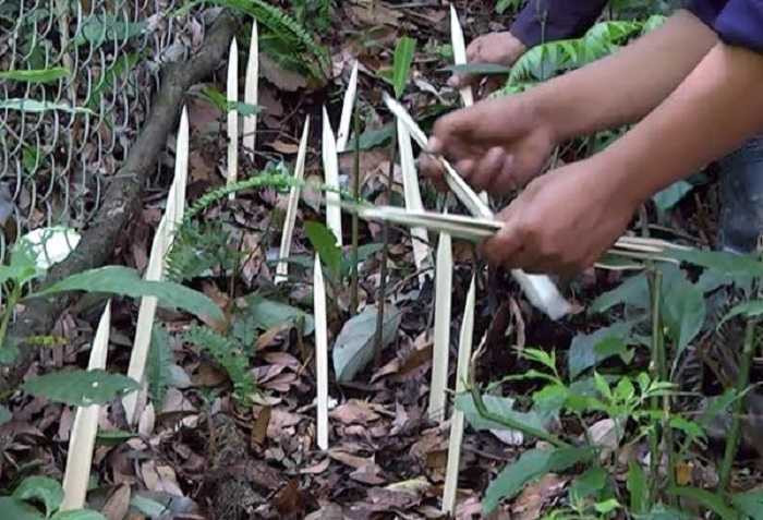 20170309173917-trom-sam1