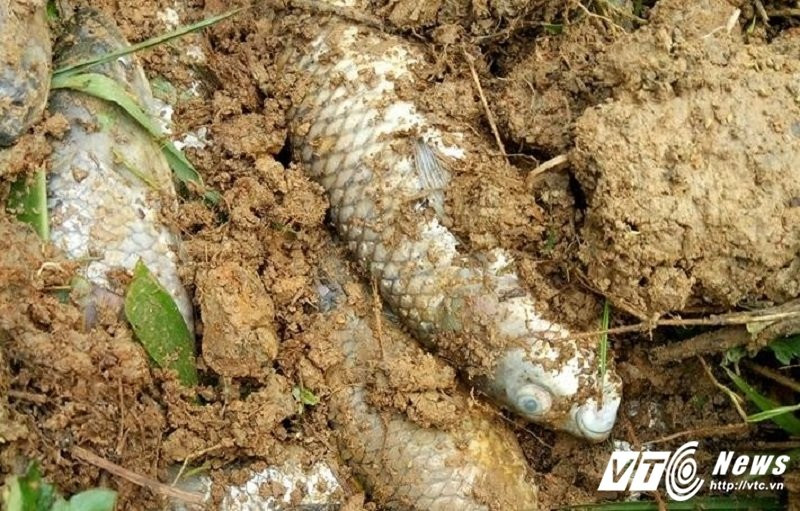 17795817_1103790349767179_5084685577952234181_n