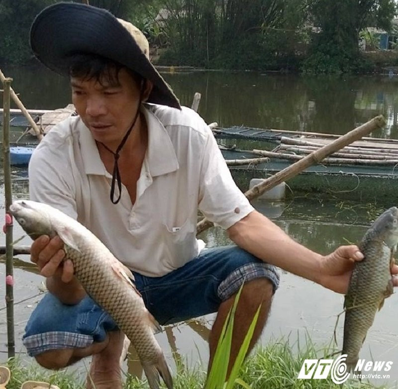 17796717_1103790059767208_7682337402113311427_n