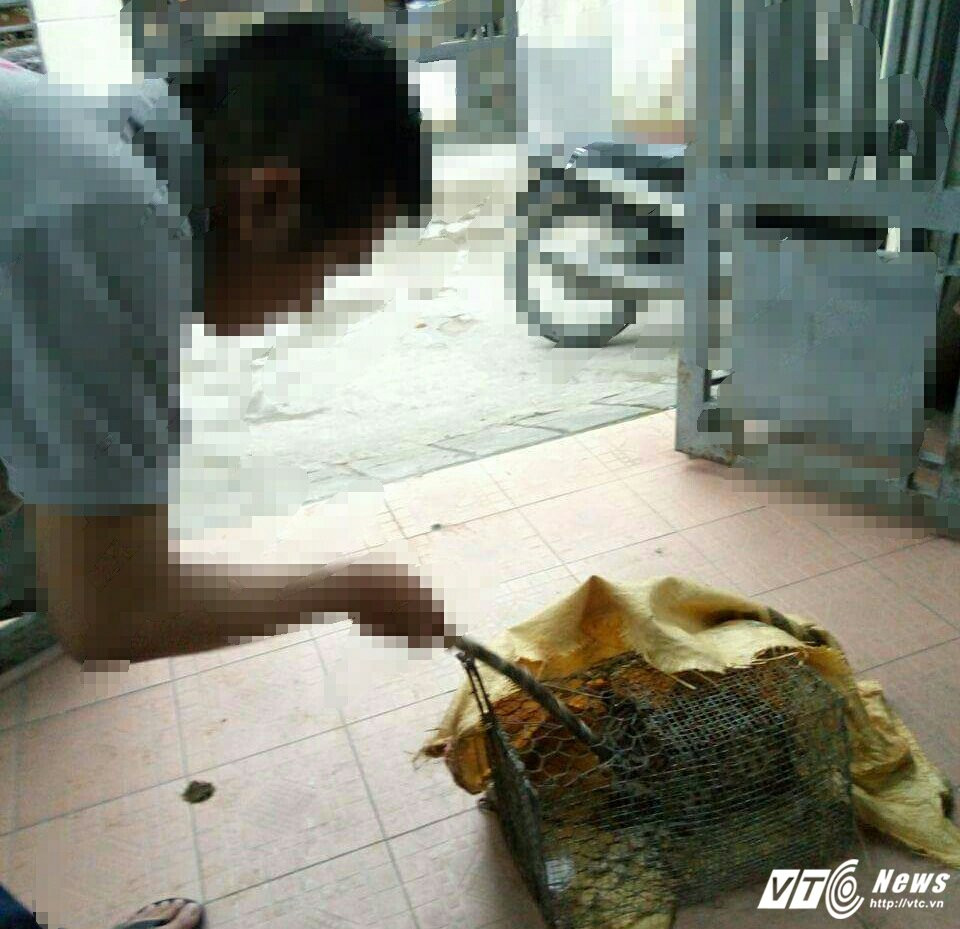 Hinh anh Hanh trinh tiep can ke dat bay roi rao ban meo rung trong sach do tren facebook 9