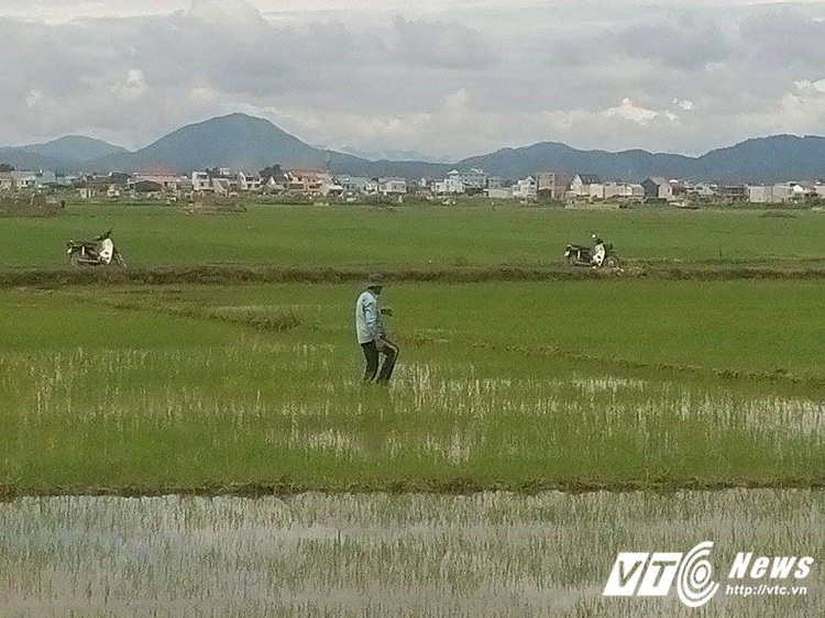 19046647_476039136076429_1193089566_n