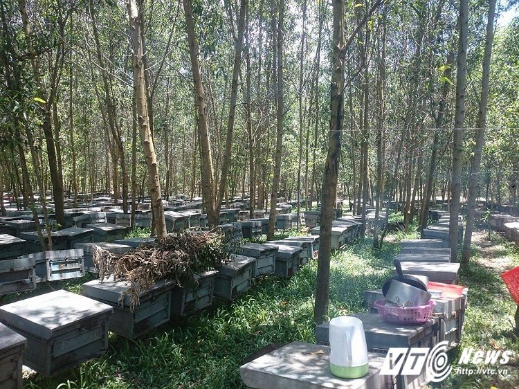 19179207_1372164859564210_659437970_o