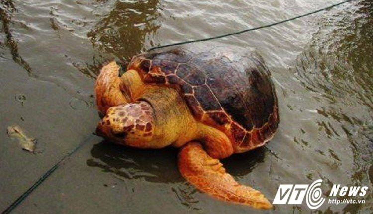 20527626_1219936598116134_1167245695_n