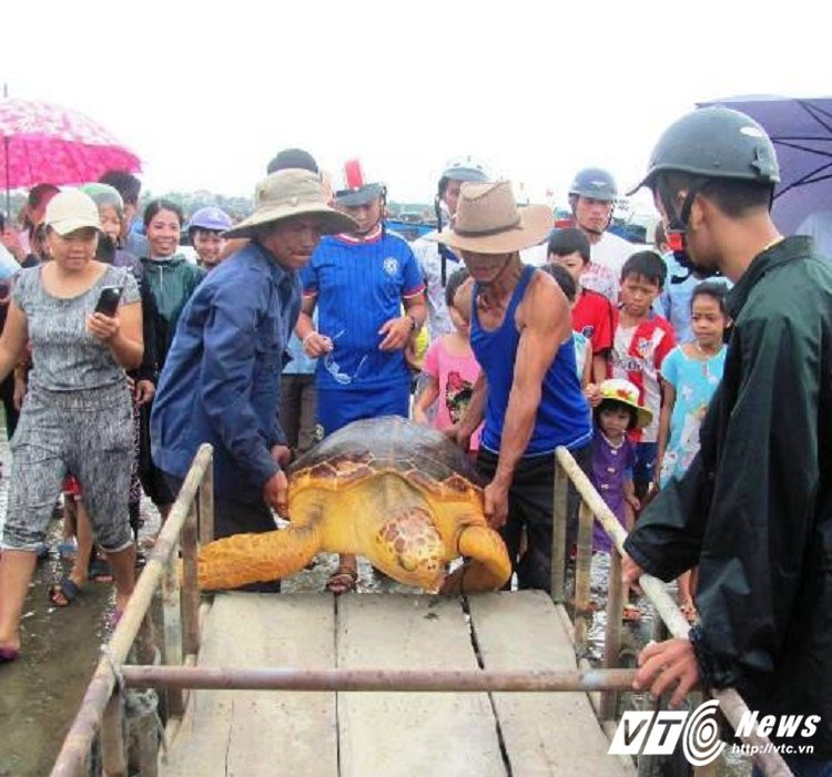 20561692_1219936394782821_319538609_n