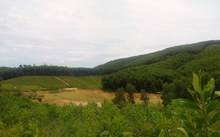 20684343_1225633597546434_1933705765_o