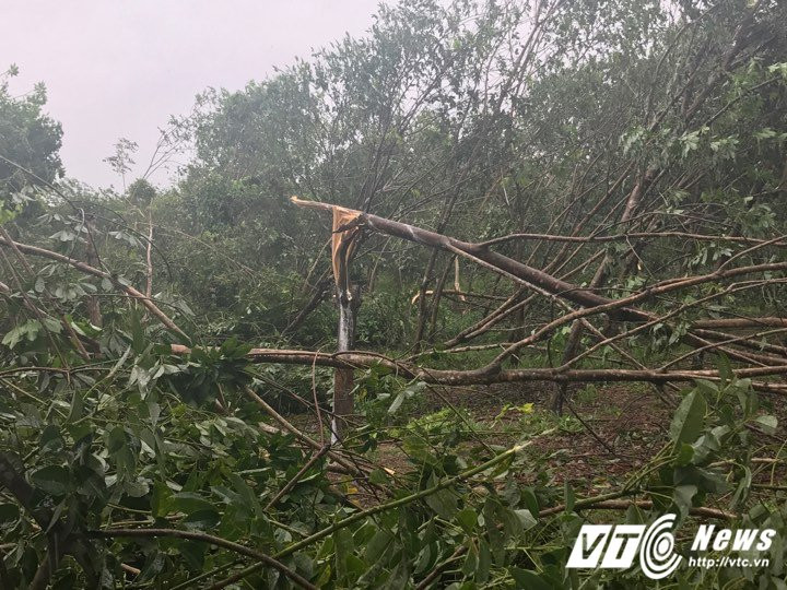 21624203_1488697551220294_1581814879_n 4