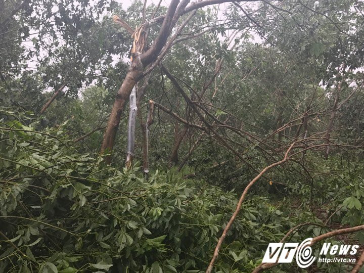 21624258_1488697451220304_918439358_n 5