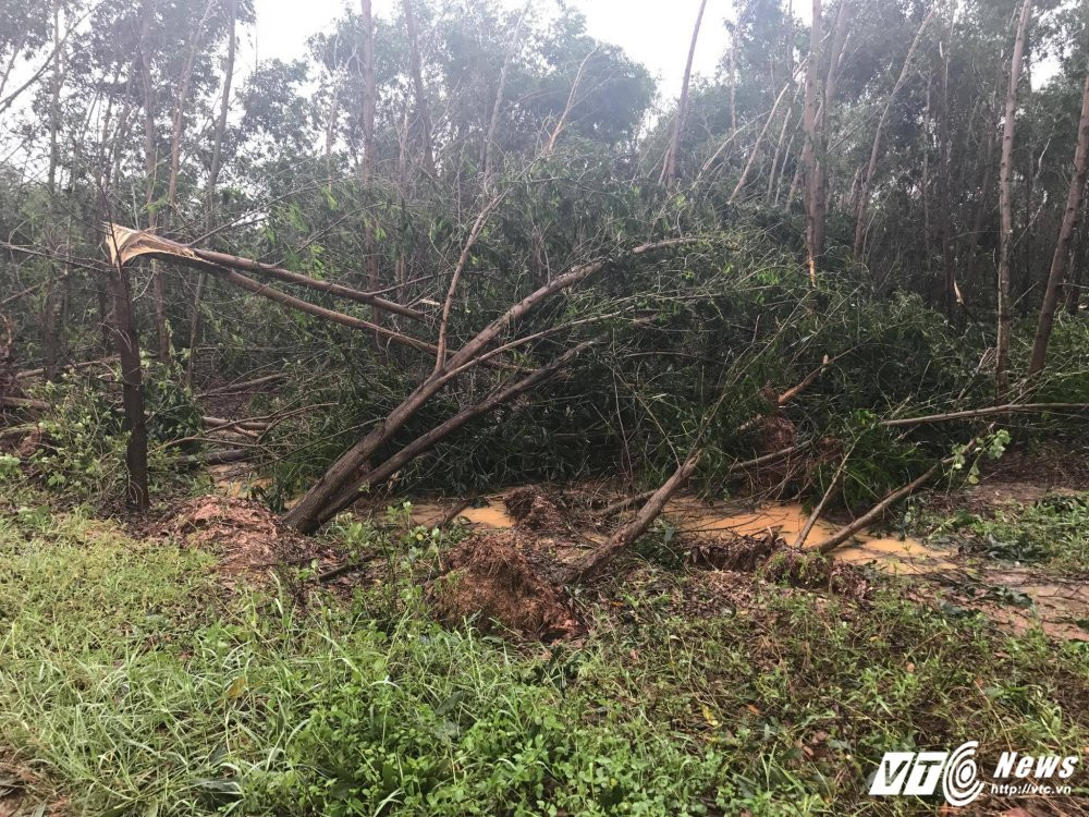 21684384_1488696814553701_1509556908_o 7