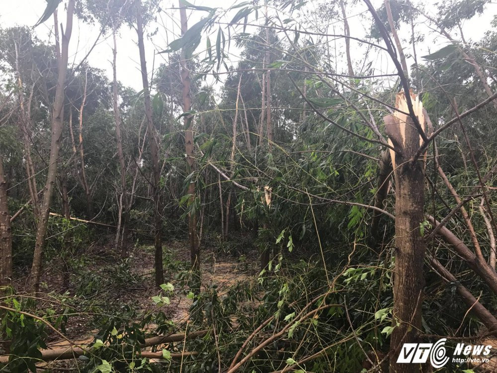 21684688_1488696317887084_126703934_o