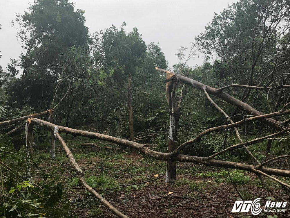 21705928_1488697381220311_259723952_o