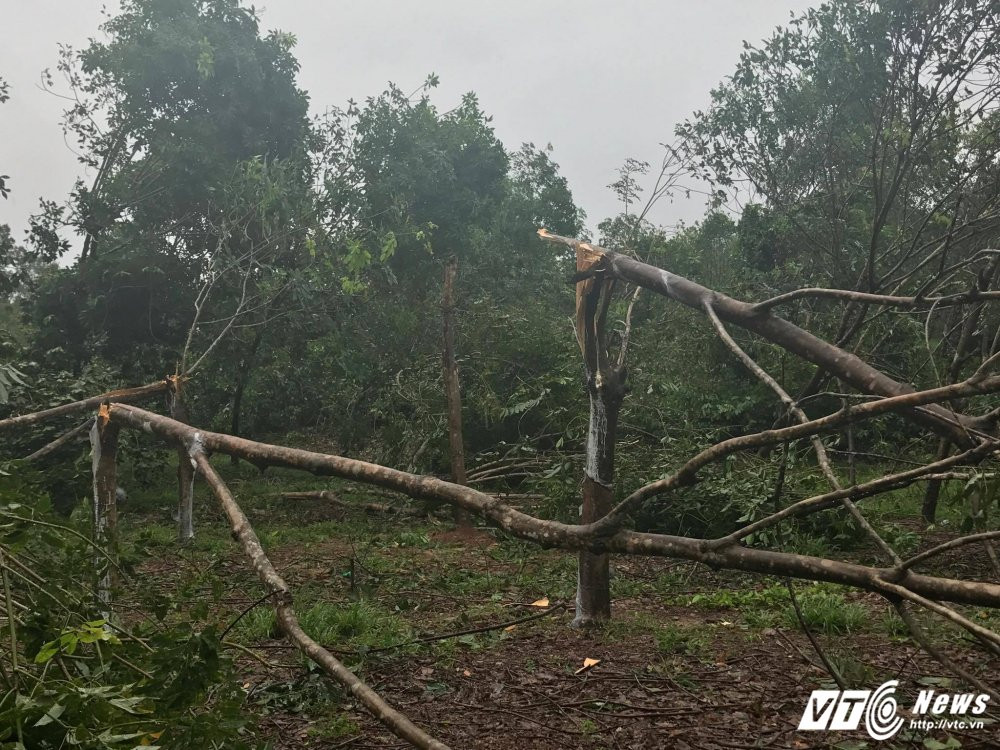 21767325_1488697267886989_307245037_o 8