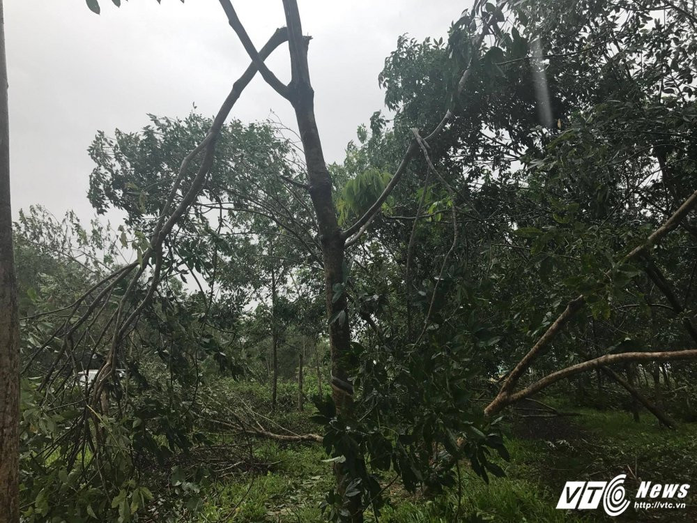 21769349_1488697124553670_2065830307_o 9