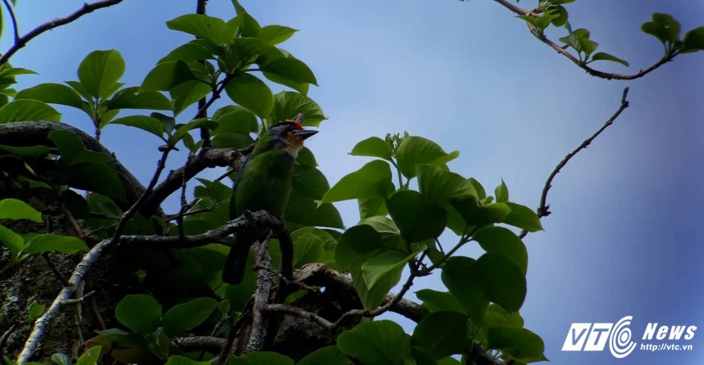 22015465_489425338117139_1673781903_o 3