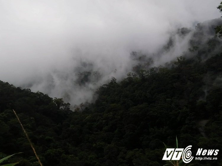 20226394_1502474683175914_398430529_o 11