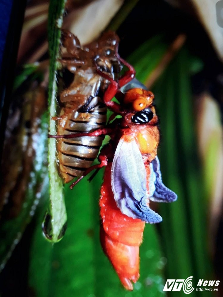 21985767_489424581450548_544618148_o 12