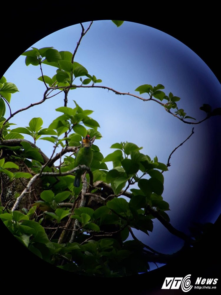 22015192_489425298117143_1717432251_o 15