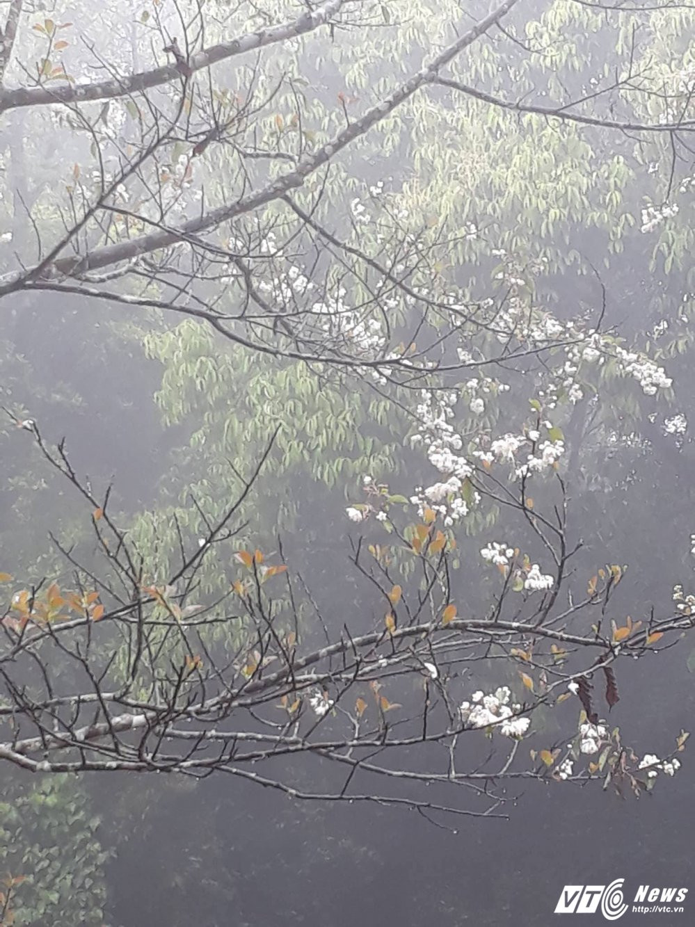 22015298_489424984783841_1829176151_o 17