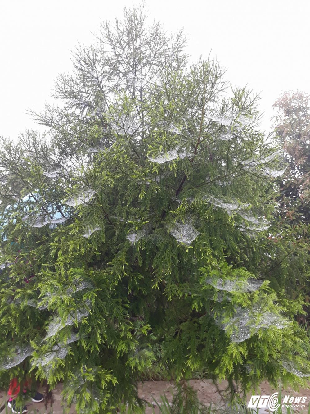 22015476_489424918117181_980646784_o 18