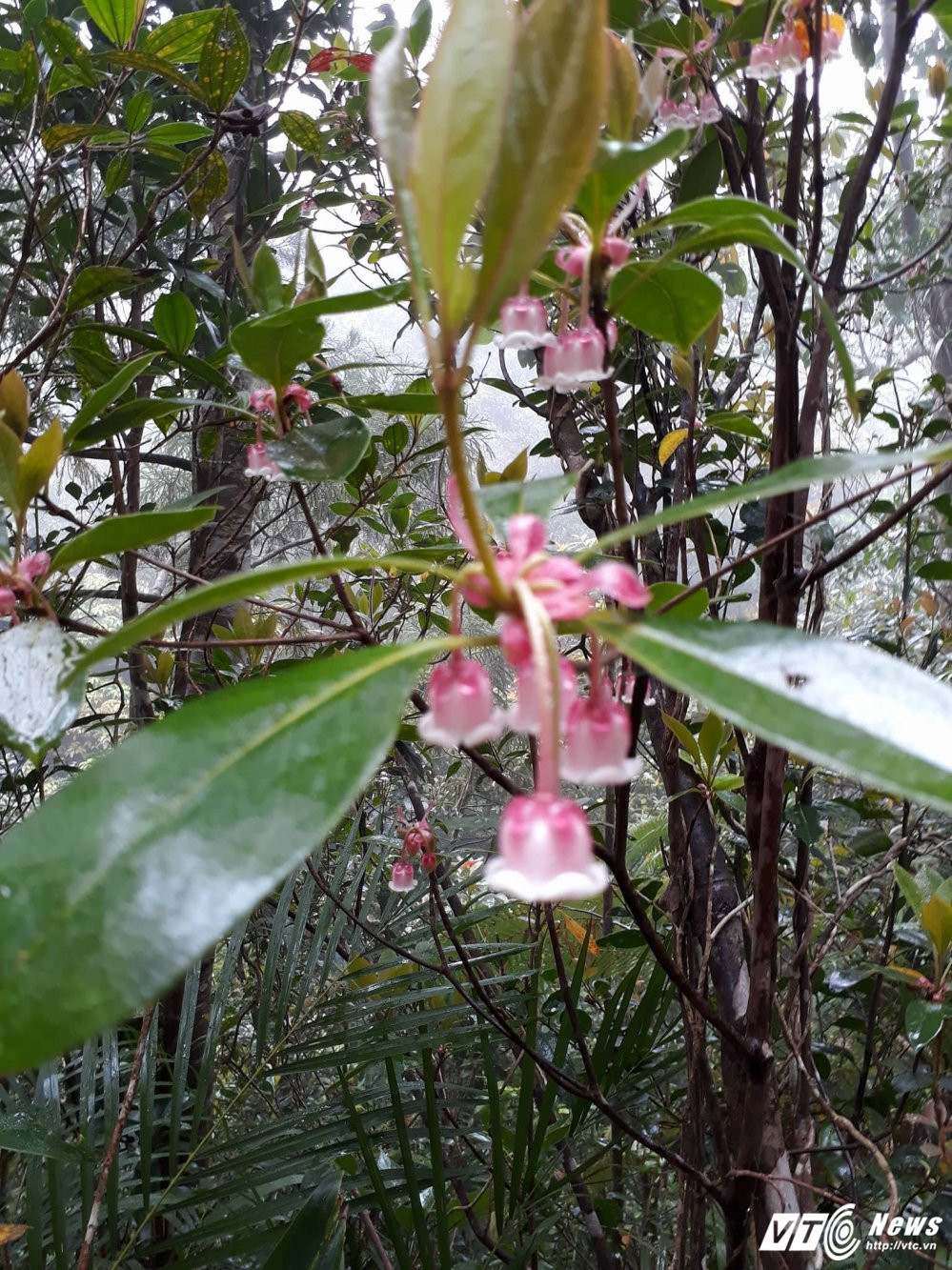 22015585_489425268117146_1799552173_o 19