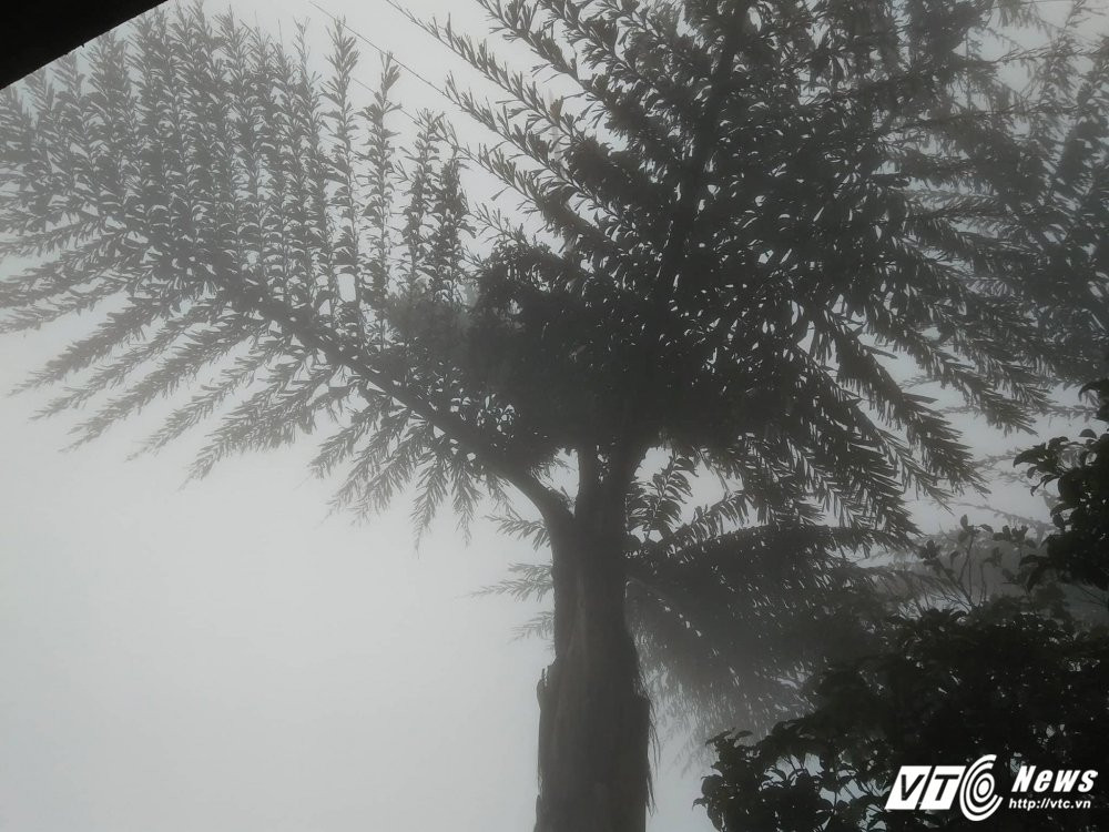 22140175_1502475809842468_1757817250_o 8