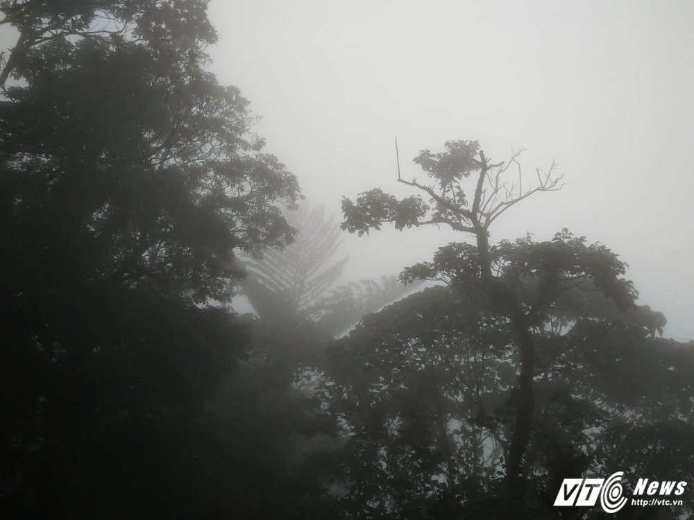 22163813_1502476096509106_1683044584_o 9