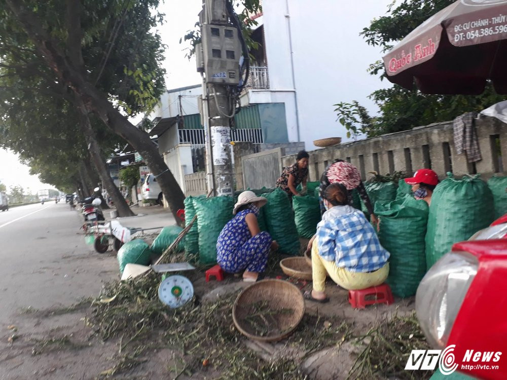 22472261_776151005897973_951903123_o