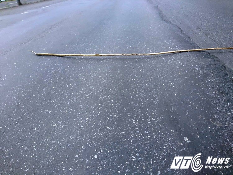 22850561_1739219936373100_530600212_o 7