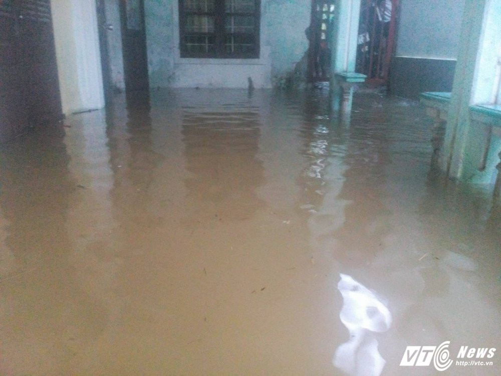 23314442_546686172345058_492066754_o 11