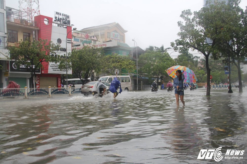 23335514_1444346519016416_1906263422_o 13